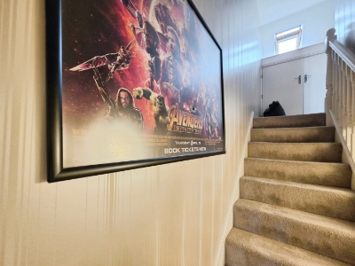 Picture 23